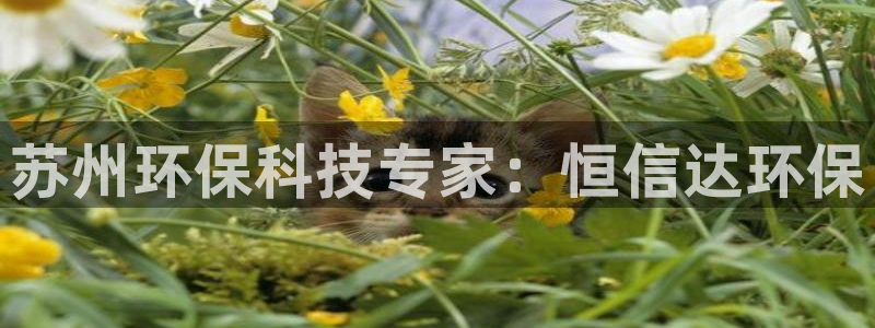 jdb电子雷神之锤大奖视频