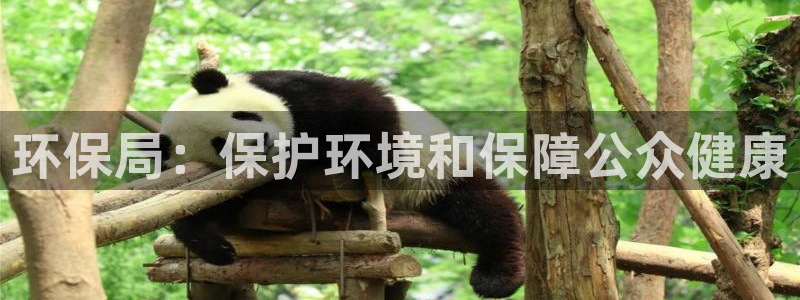 jdb变脸电子游戏技巧