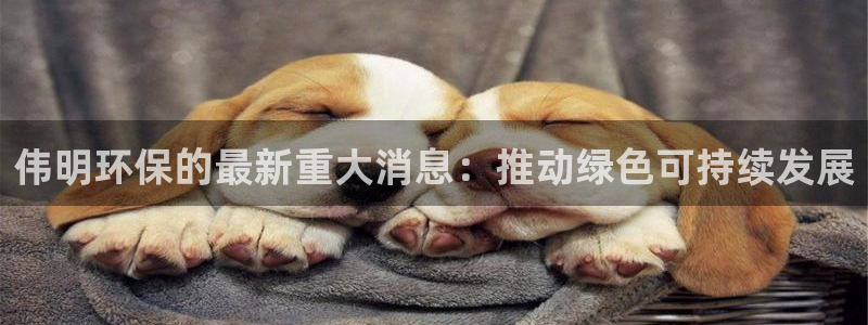 jdb电子游戏哪个容易爆奖