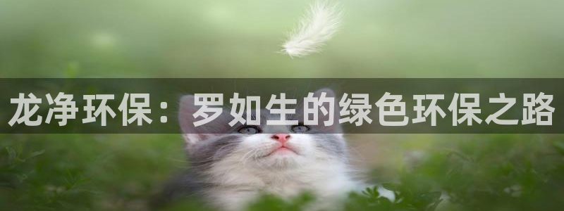 jdb电子平台入ly79,cn