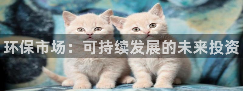 jdb电子游戏网址大全