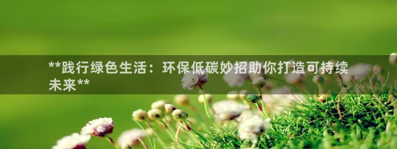 JDB电子维护