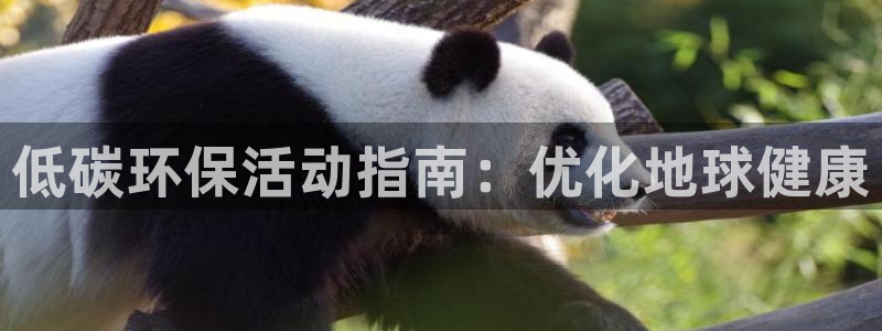 JDB平台是什么