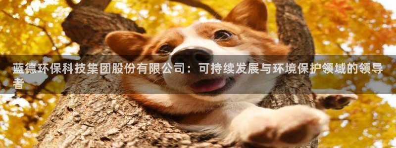 jdb电子试玩官网是什么