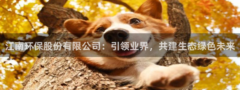 jdb电子金鸡报喜