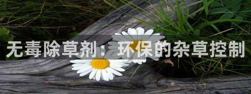jdb中奖视频