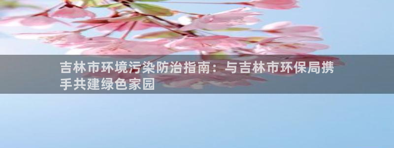 jdb电子游戏模拟器