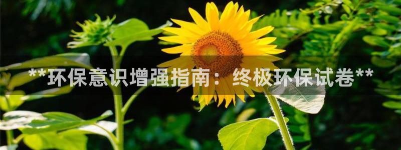 jdb电子游戏金刚