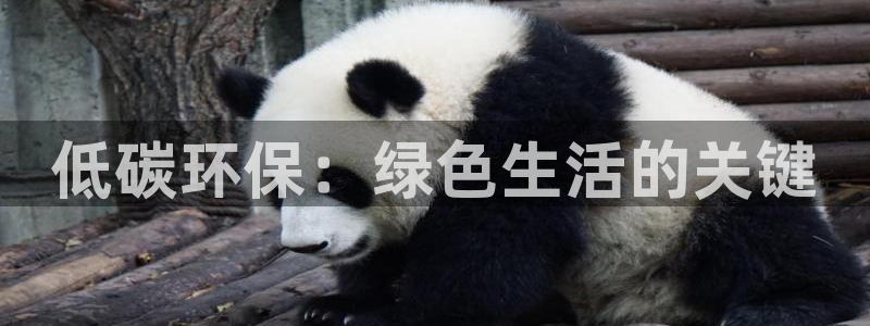 jdb变脸48个