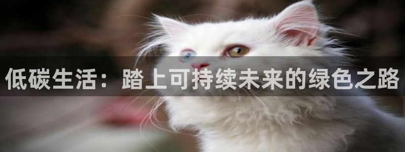 jdb电子夺宝游戏变脸2