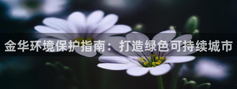 JDB电子游戏