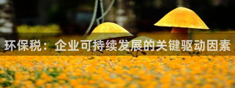 jdb电子有多坑