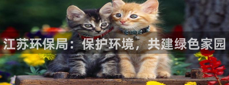 jdb平台如何中jp巨奖