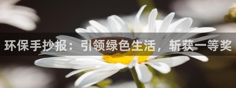 夺宝jdb网址