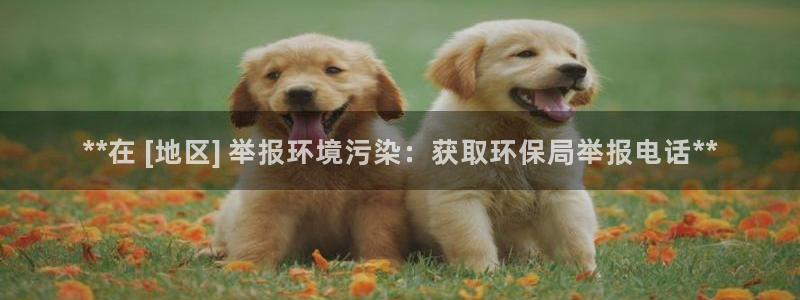 jdb电子夺宝试玩版