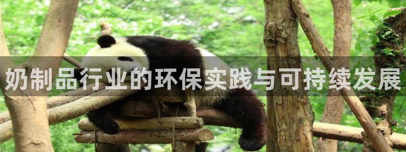 jdb台湾黑熊技巧