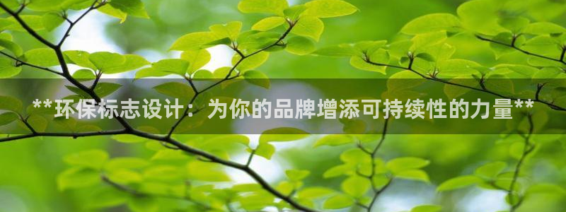 JDB电子夺宝试玩