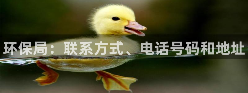jdb试玩网页版