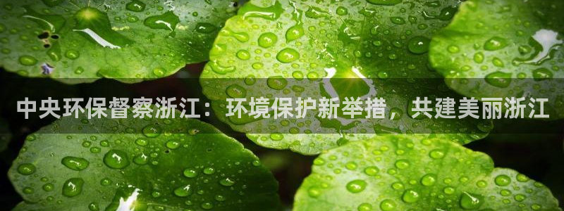 jdb电子app官网