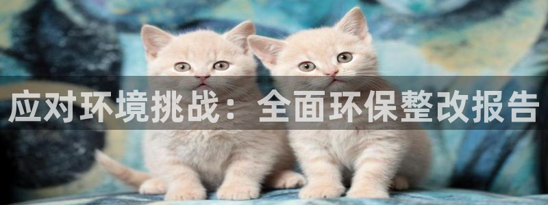 jdb电子金刚视频