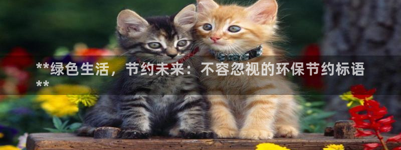 jdb电子夺宝官网试玩