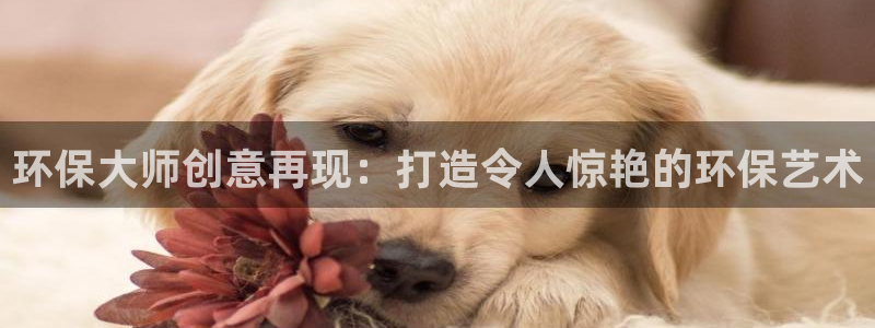 jdb夺宝游戏中奖视频