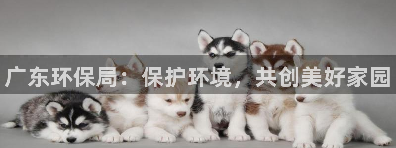 jdb电子夺宝官网