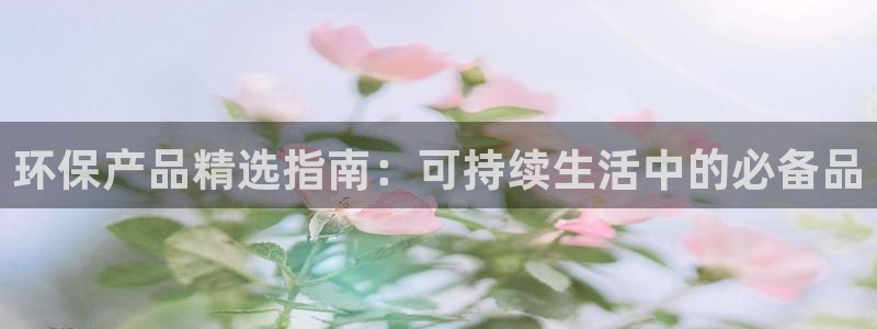 jdb电子台湾黑熊怎么玩