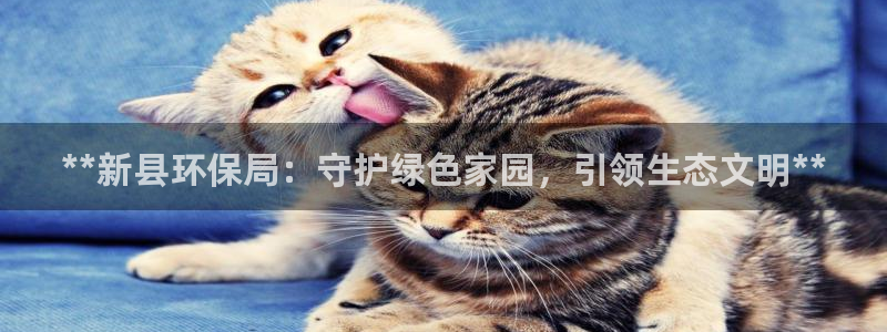 jdb电子游戏哪个容易赢
