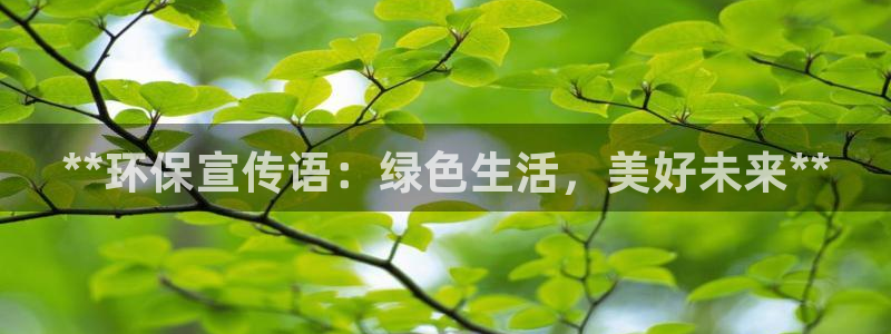jdb集团