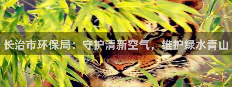 jdb游戏爆分规律