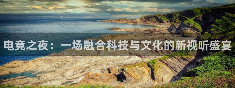 乐鱼电竞下载