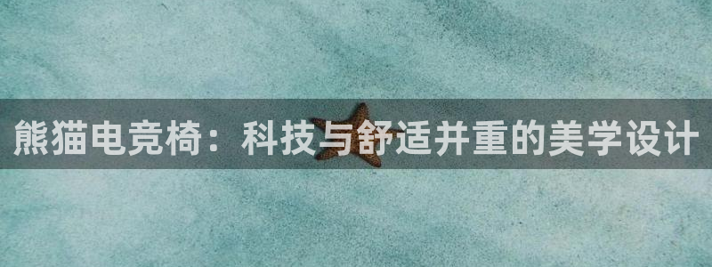 乐鱼电竞网站：熊猫电竞椅：科技与舒适并重的美学设计