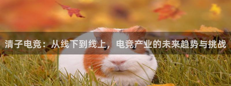 乐鱼电竞app下载：清子电竞：从线下到线上，电竞产业的未来趋势与挑战