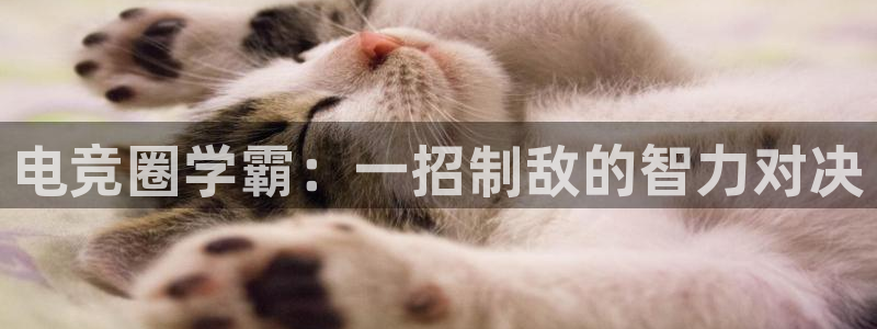 乐鱼电竞：电竞圈学霸：一招制敌的智力对决