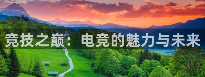 乐鱼电竞app下载：竞技之巅：电竞的魅力与未来