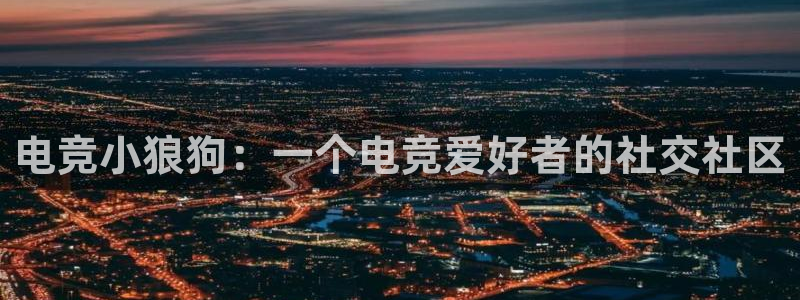 乐鱼电竞网站