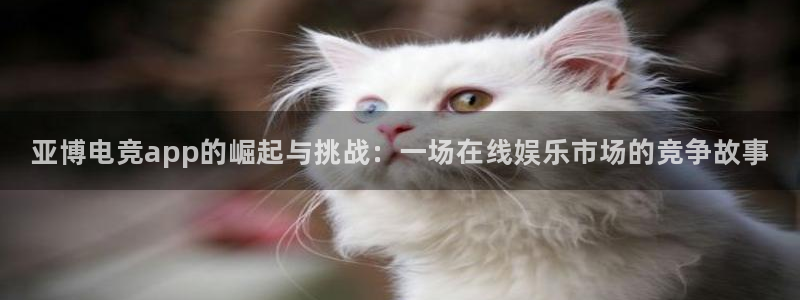 乐鱼电竞app下载：亚博电竞app的崛起与挑战：一场在线娱乐市场的竞争故事