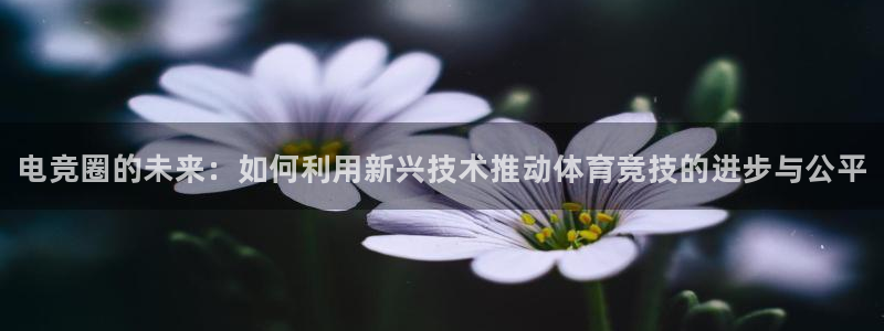 乐鱼电竞app：电竞圈的未来：如何利用新兴技术推动体育竞技的进步与公平