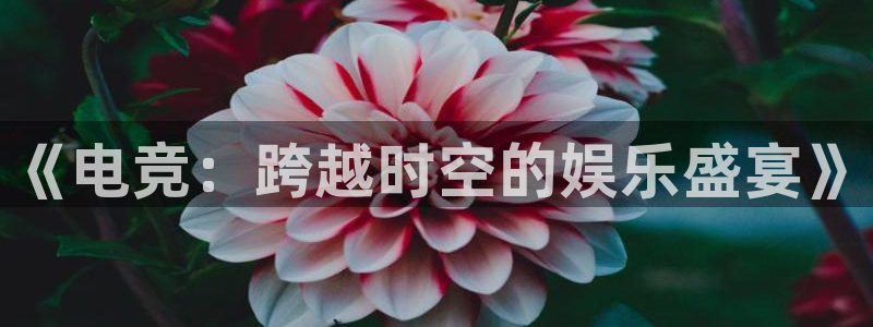 乐鱼电竞平台：《电竞：跨越时空的娱乐盛宴》