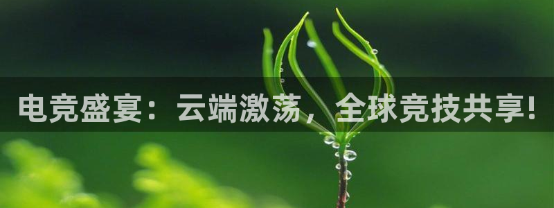 乐鱼电竞app：电竞盛宴：云端激荡，全球竞技共享!