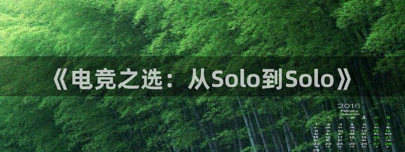 乐鱼电竞app下载：《电竞之选：从Solo到Solo》