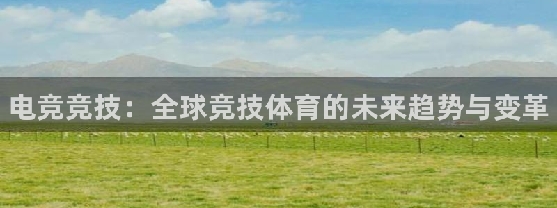 乐鱼电竞app下载：电竞竞技：全球竞技体育的未来趋势与变革