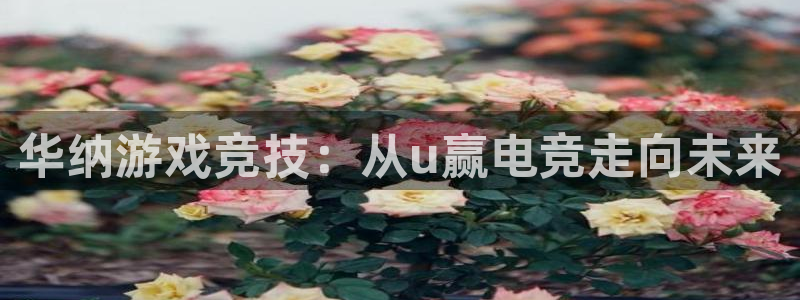 乐鱼电竞下载