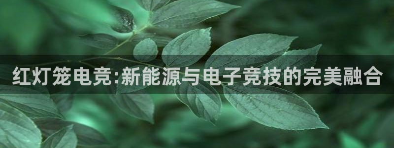乐鱼电竞平台：红灯笼电竞:新能源与电子竞技的完美融合