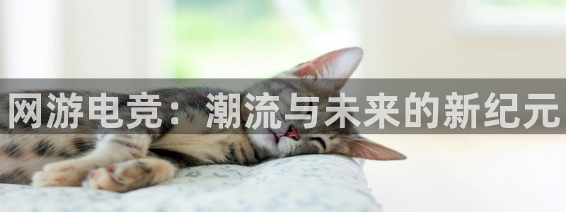 乐鱼电竞：网游电竞：潮流与未来的新纪元