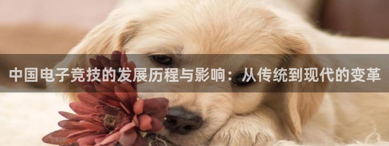 乐鱼电竞：中国电子竞技的发展历程与影响：从传统到现代的变革