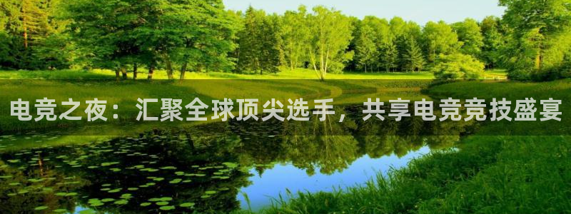 乐鱼电竞英雄联盟app官方：电竞之夜：汇聚全球顶尖选手，共享电竞竞技盛宴