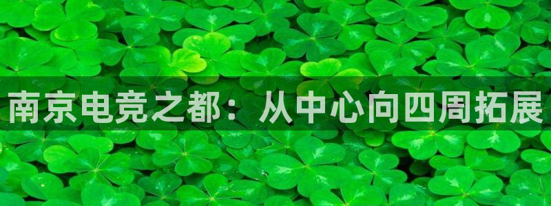 乐鱼电竞英雄联盟app官方：南京电竞之都：从中心向四周拓展