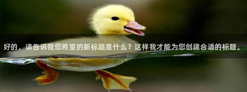 乐鱼电竞网站：好的，请告诉我您希望的新标题是什么？这样我才能为您创建合适的标题。